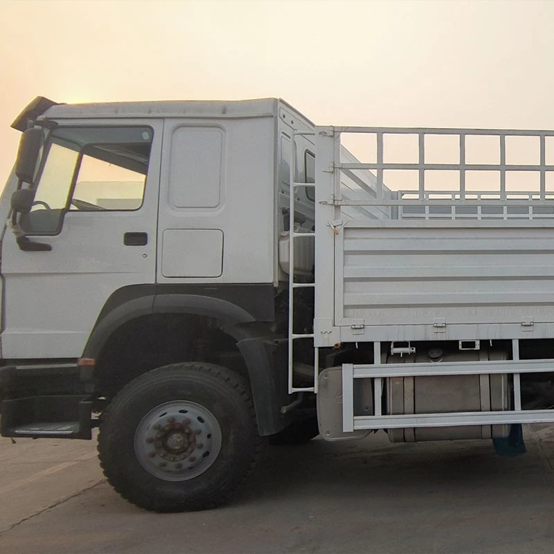 HOWO 6x4 Cargo Truck (4)